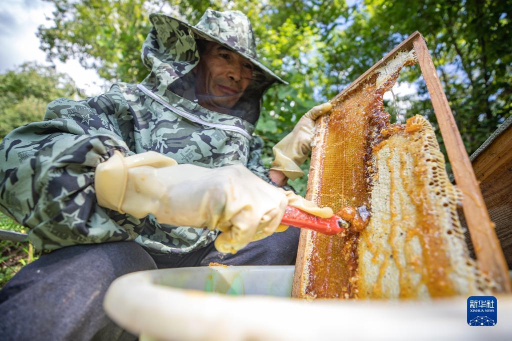 澳门2万赢50万